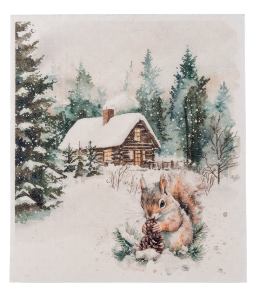 Winter Wonderland Reusable Dish Cloth