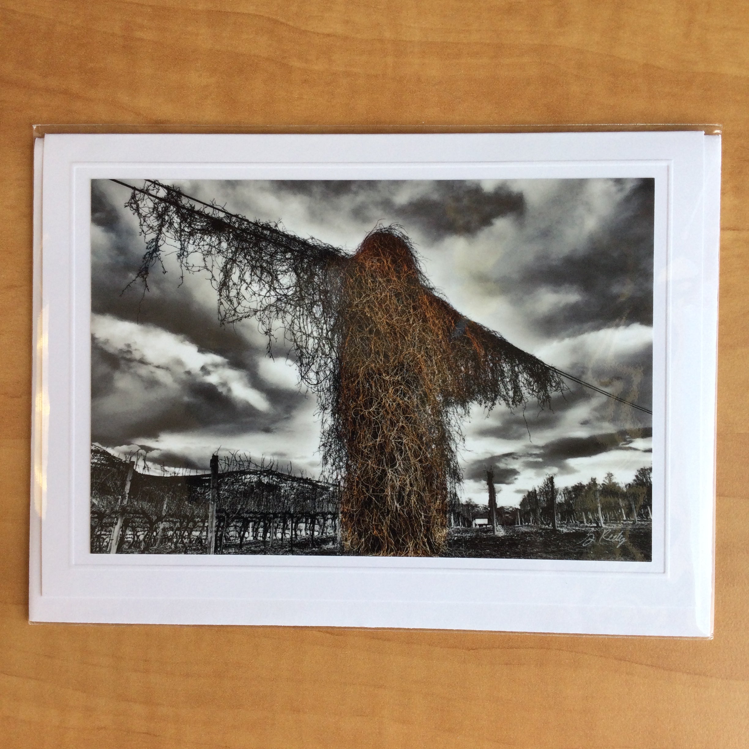 Photography Greeting Cards by Greg Reely