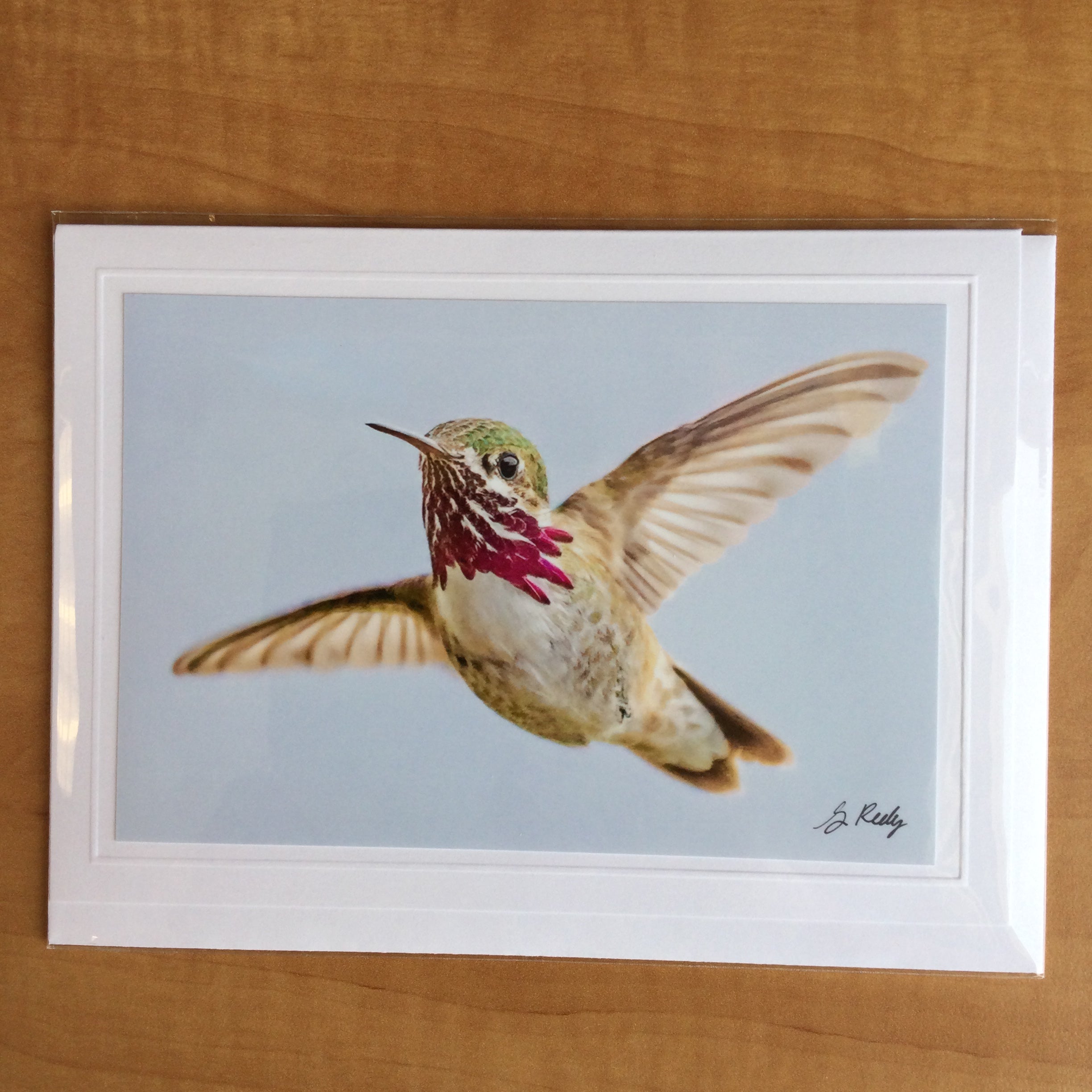 Photography Greeting Cards by Greg Reely