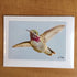 Photography Greeting Cards by Greg Reely