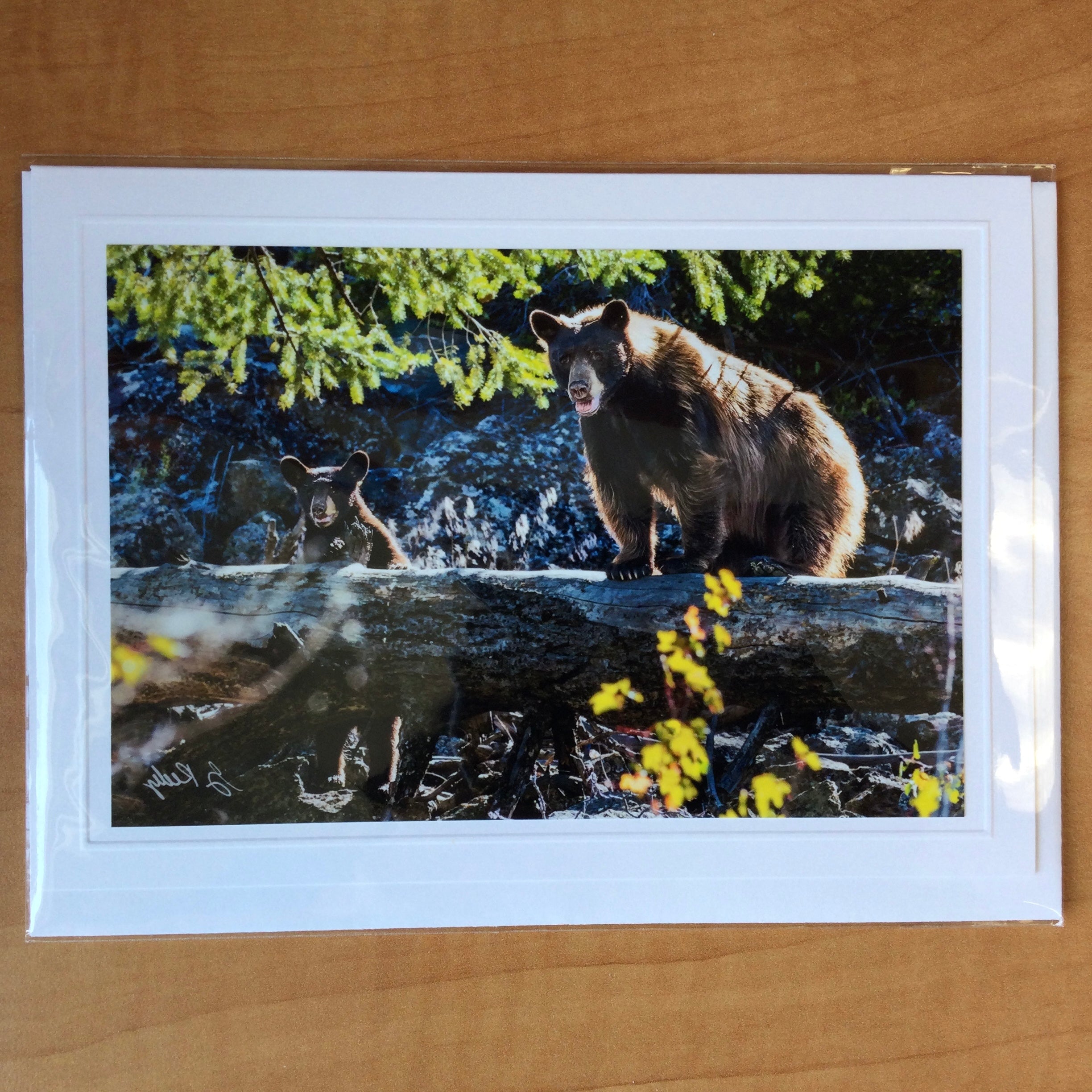 Photography Greeting Cards by Greg Reely