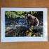 Photography Greeting Cards by Greg Reely