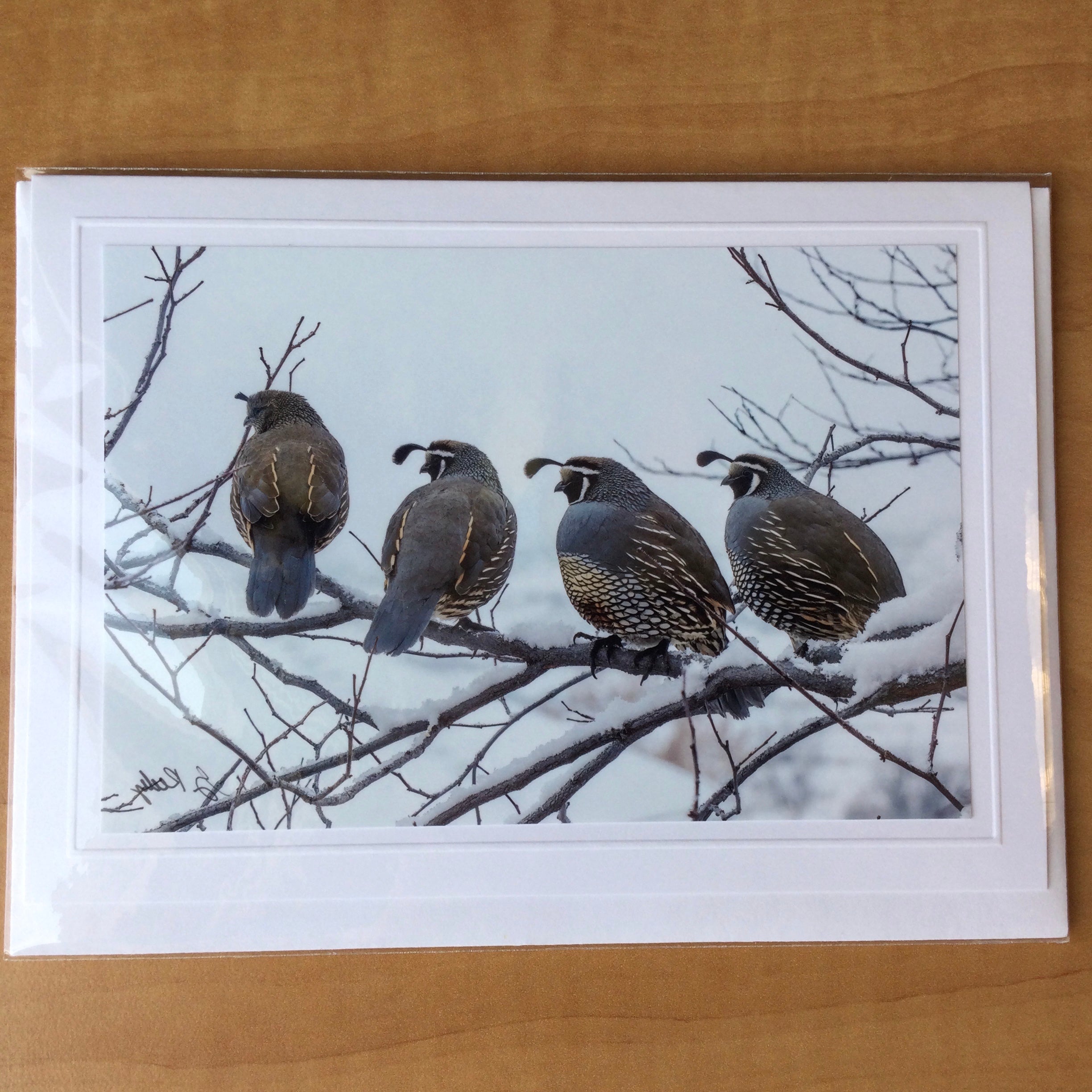 Photography Greeting Cards by Greg Reely