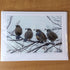 Photography Greeting Cards by Greg Reely