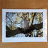 Photography Greeting Cards by Greg Reely