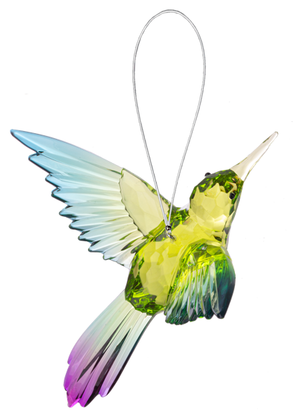 Vibrant Acrylic Hummingbird
