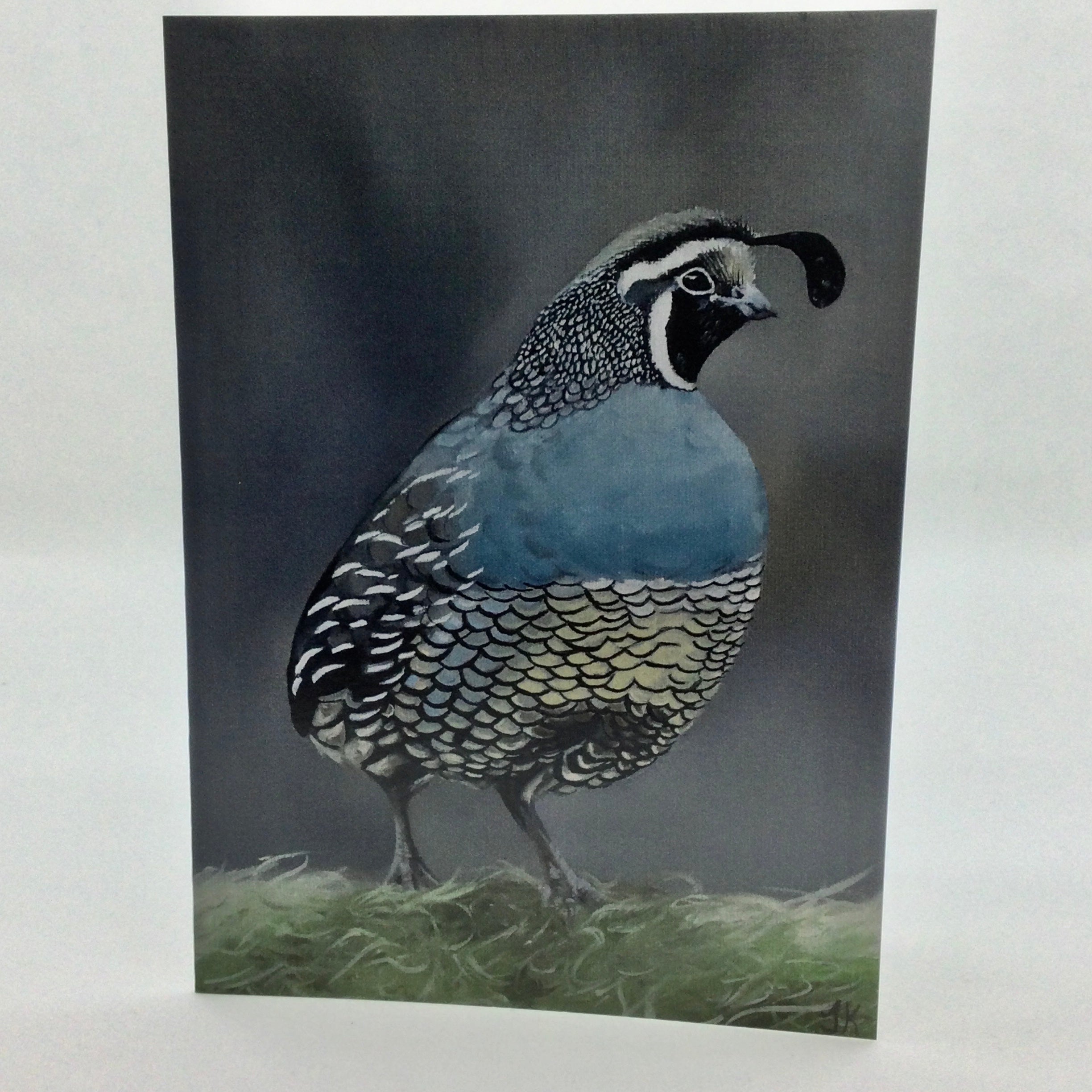 Local Art Cards by Jacqui Keseluk - Quail On Grass