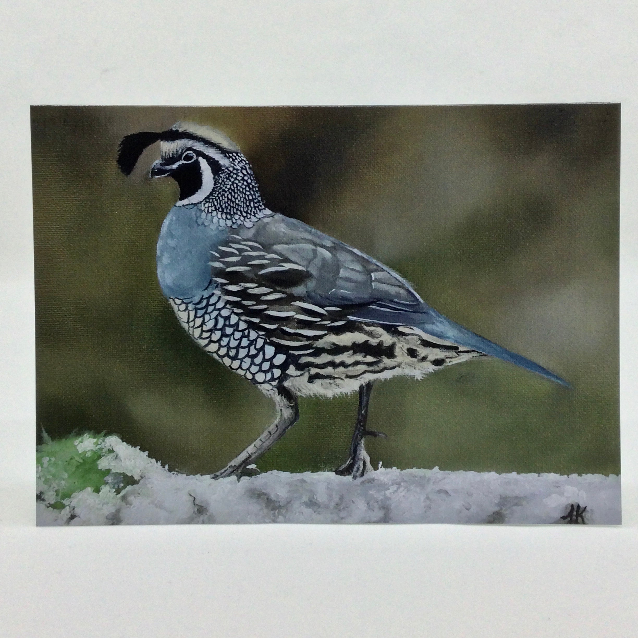 Local Art Cards by Jacqui Keseluk - Quail on Snow Branch