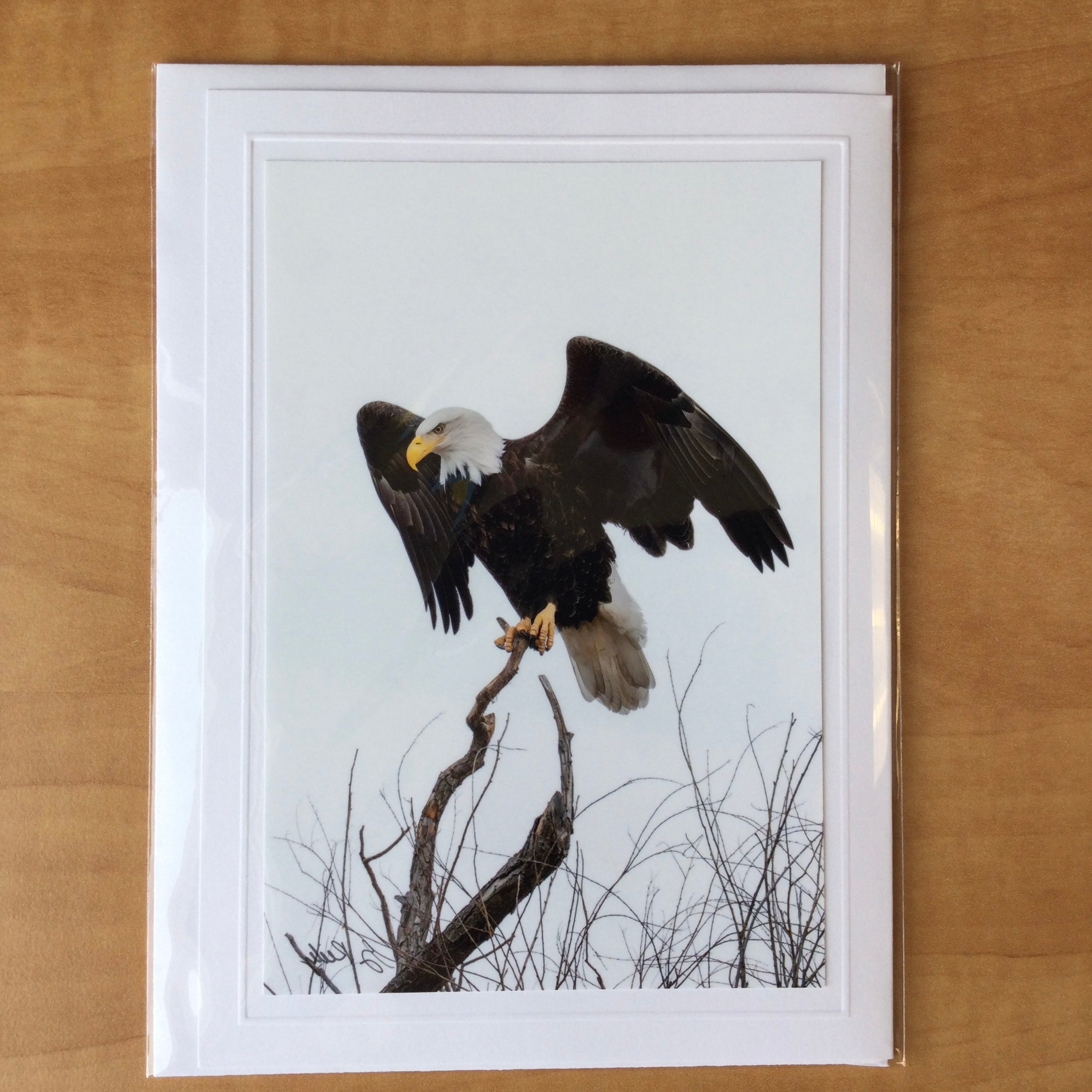 Photography Greeting Cards by Greg Reely