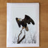 Photography Greeting Cards by Greg Reely