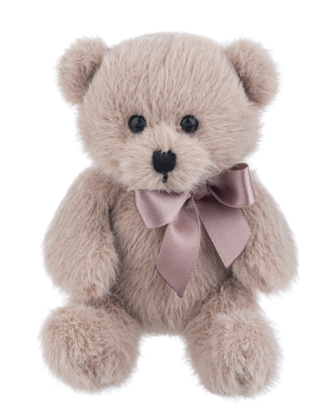 Unbearably Cute Teddy Bear
