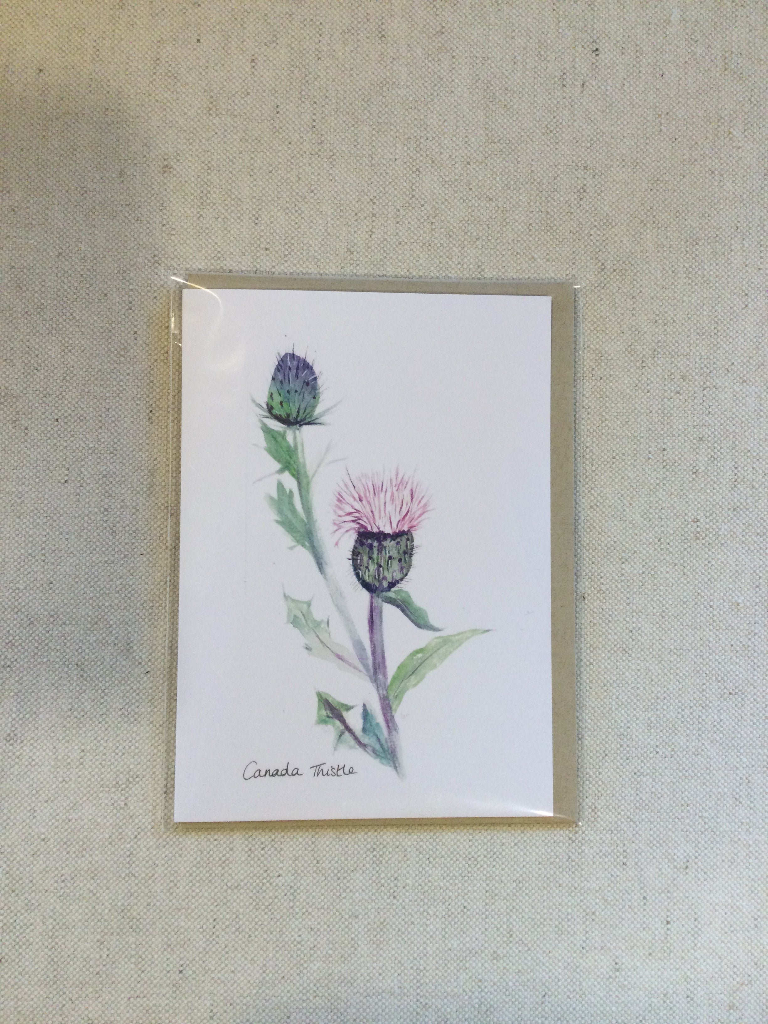 Local Art Cards by Jennifer Giffin - Canada Thistle