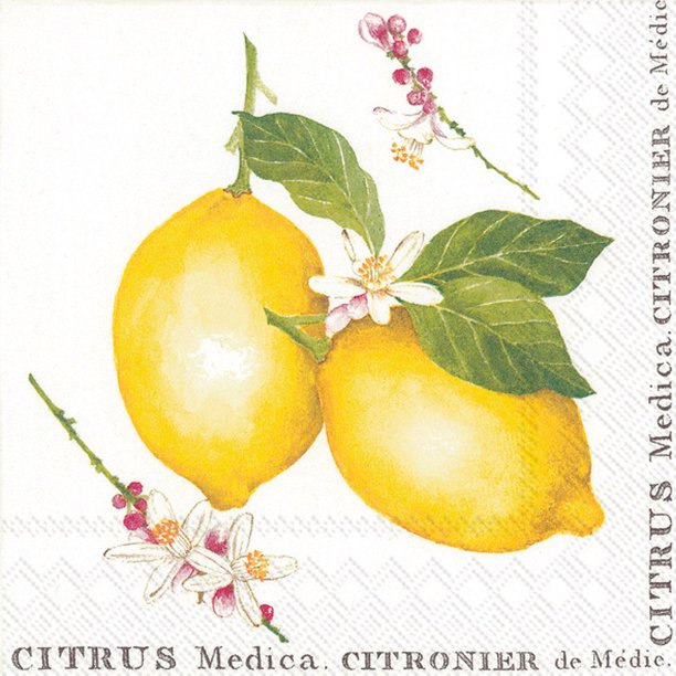 Lemon Citrus Napkin