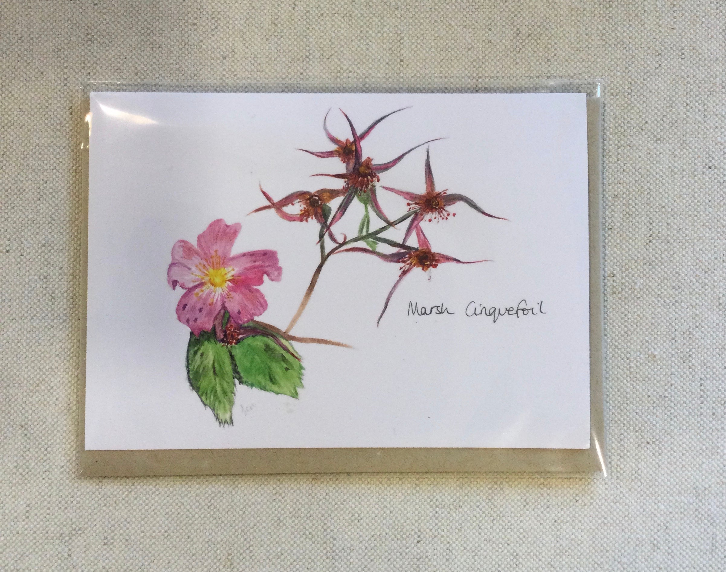 Local Art Cards by Jennifer Giffin