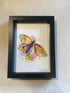 Framed Art Prints by Jennifer Giffin